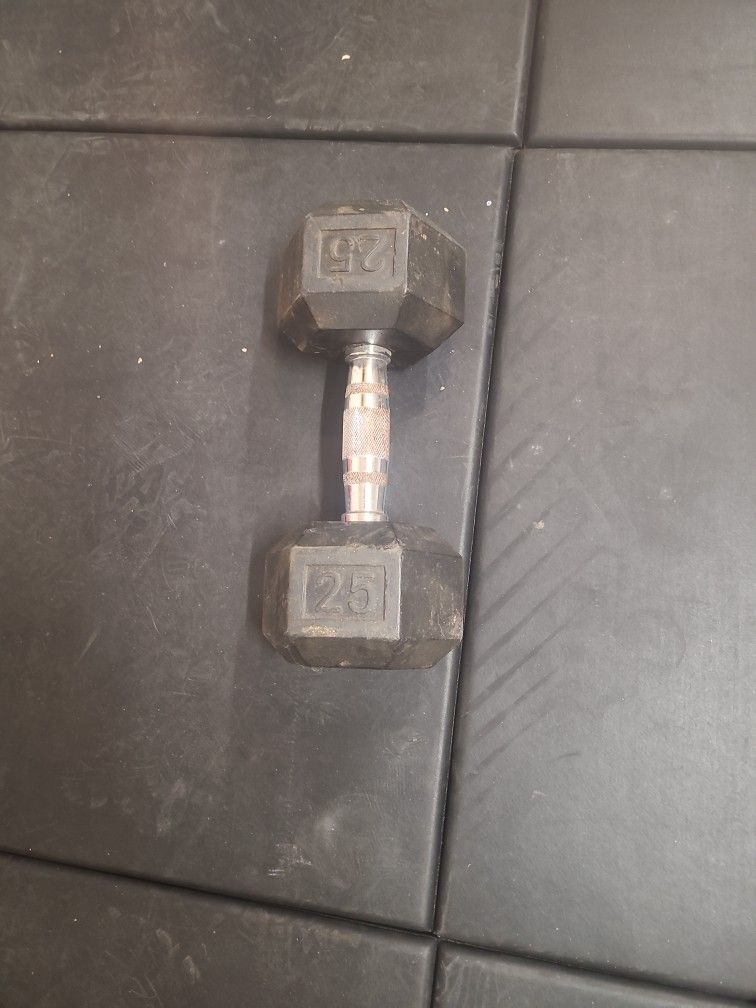 A Single 25lb Dumbbell