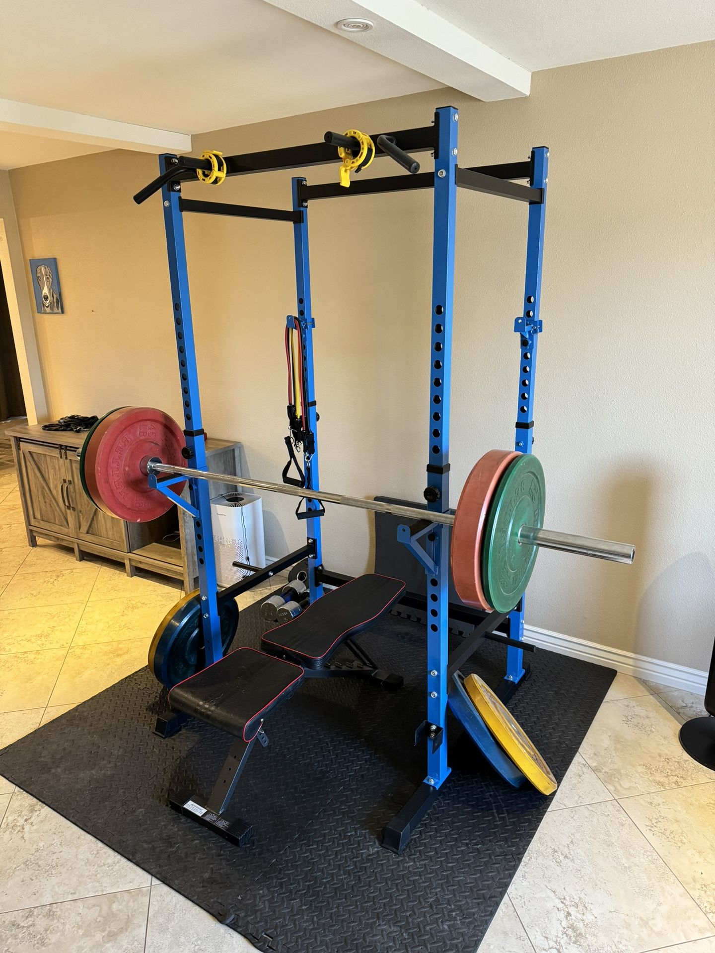 Squat Rack, 45lb Barbell, Adjustable Bench, 240lbs In Plates