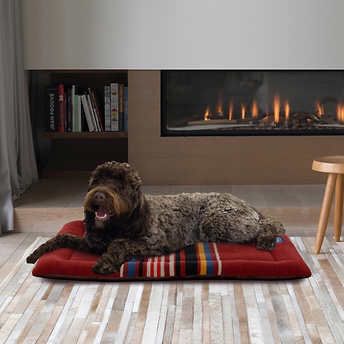 Pendleton Dog Bed & Pendleton Blanket 