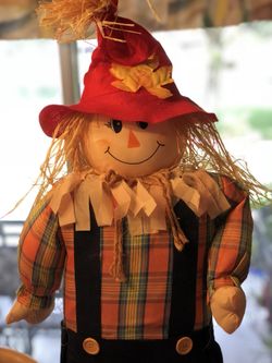 Cute Scarecrow