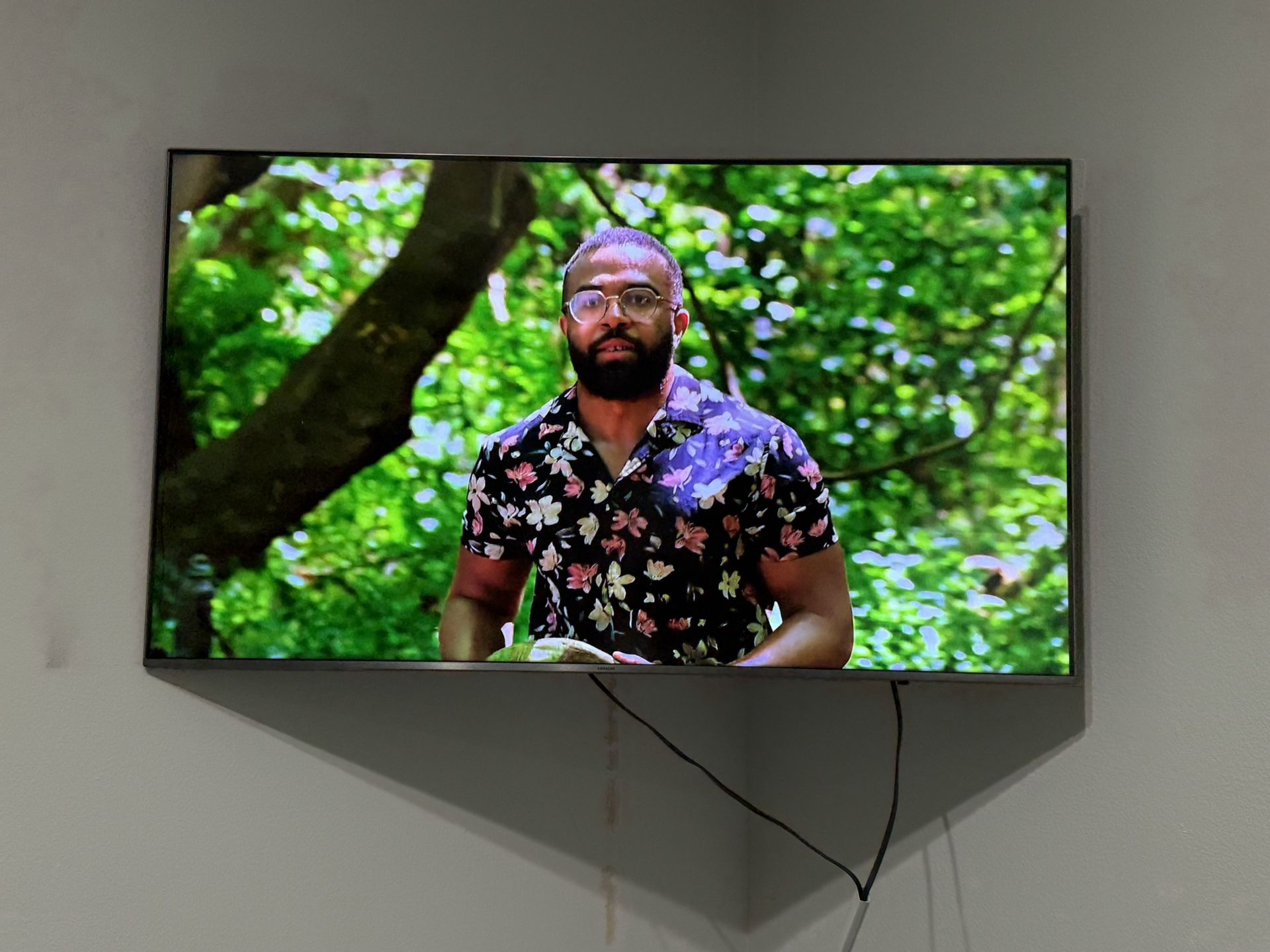 Smart TV Plus Wall Mount
