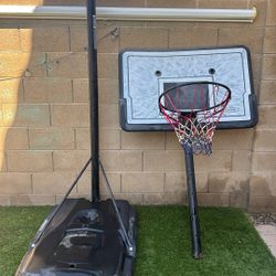 Lifetime portable basketball hoop
