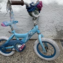 Frozen Bike 