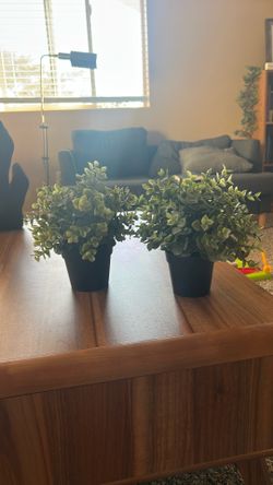 Fake Plants For Decor