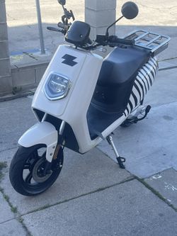 Zebra  Scooter 