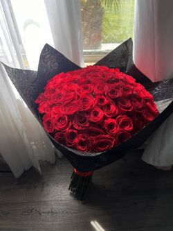 Roses  Rosas  Valentines 