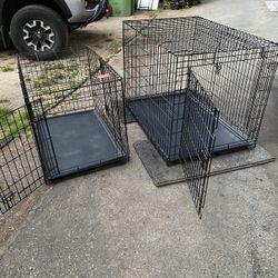 Dog Kennels 