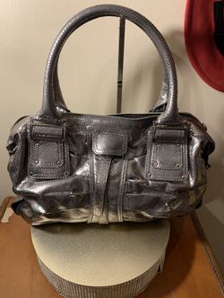 Kooby silver purse 