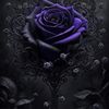 Dark Closet