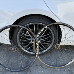 Fixed Fear Wheels 