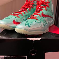 Lebron 11 Christmas DS Size 13 $300