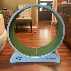 Treadmill For Cats.