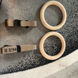 Gymnastics Rings And Straps (Or Best Offer)
