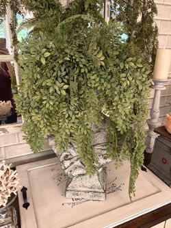 Silk plant