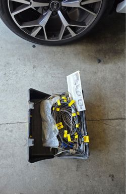 Snow chain