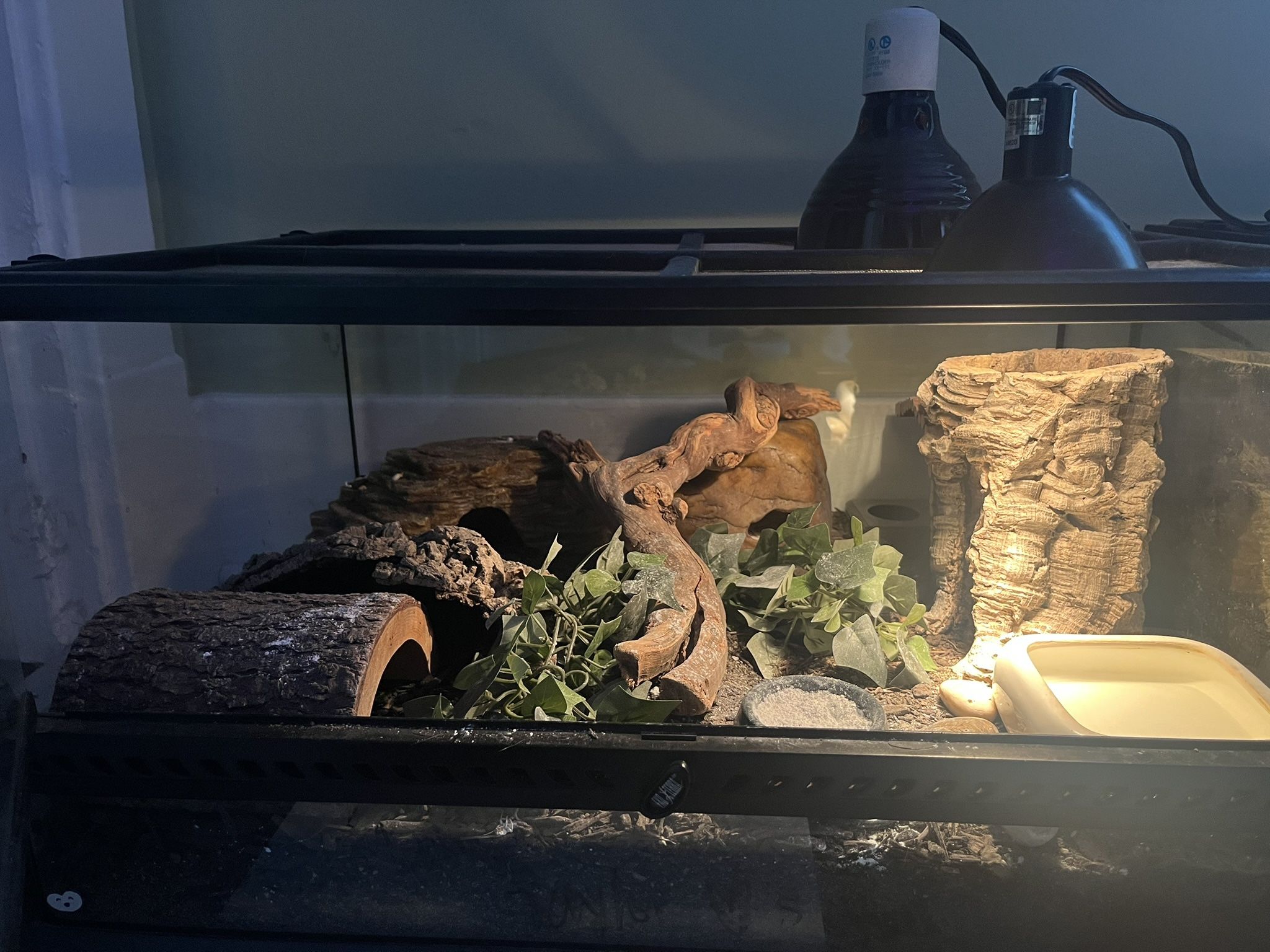Complete Reptile Setup,All Products : American Fashion Style Bags On Sale