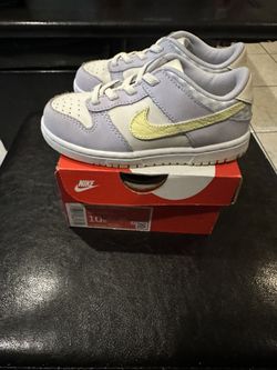 Kids Dunks Low (10c)