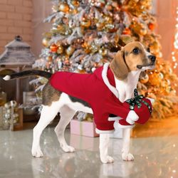 Dog Christmas Costume