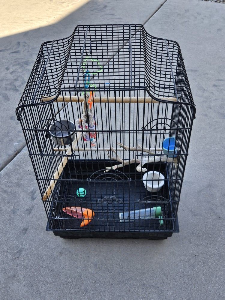 Bird Cage