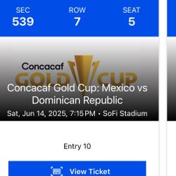 2 Tickets To Mexico Fc Game