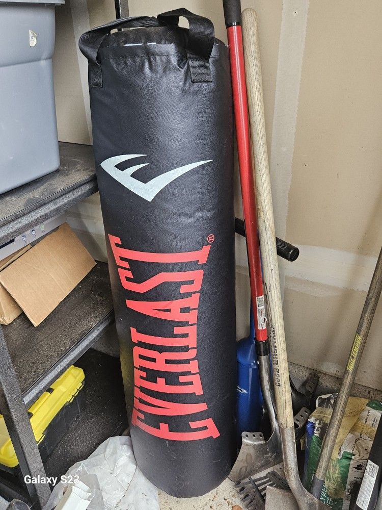 Everlast Punching Bag