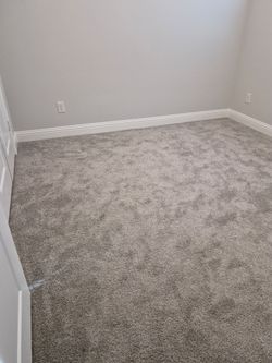 Brand new carpet with padding