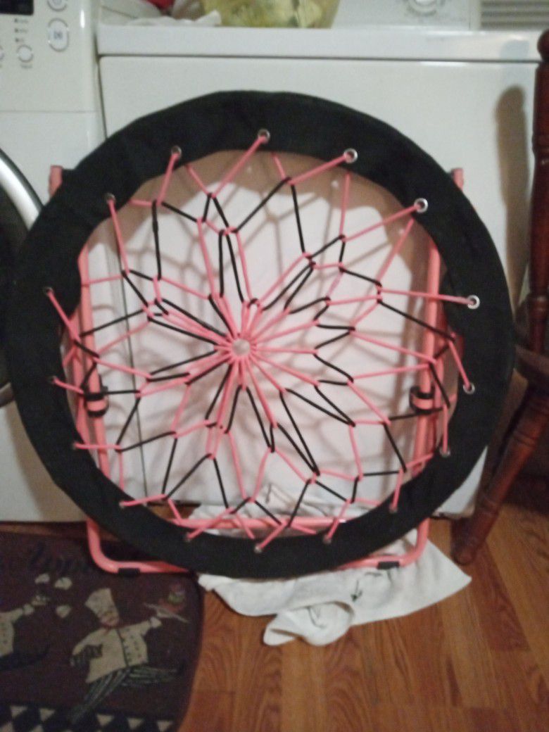 Black And Pink Bungee Chair