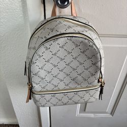 Back Pack Purse 
