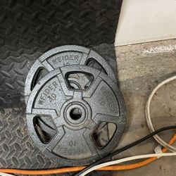 Weirder 10lb Standard Weight Plates