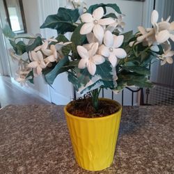 Decorative, Artificial, Plant, Plants 