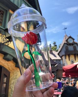 Beauty and the Beast Disney Tumbler