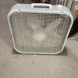 Fan