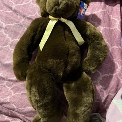 Chocolate Brown bear 