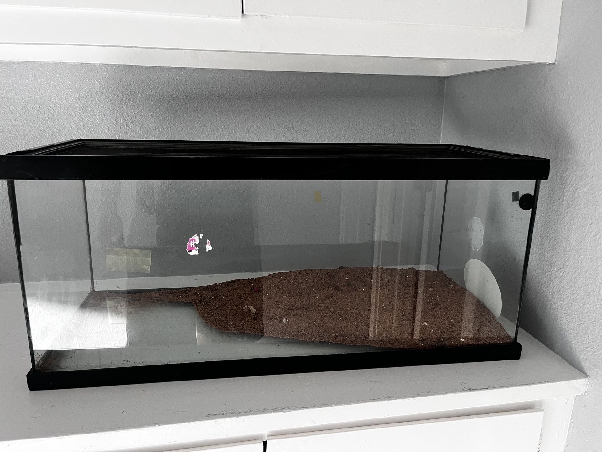 Reptile Tank