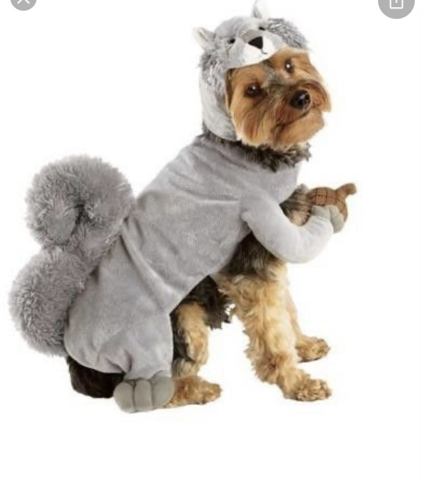 Small Dog Squirrel Halloween Costume - Medium