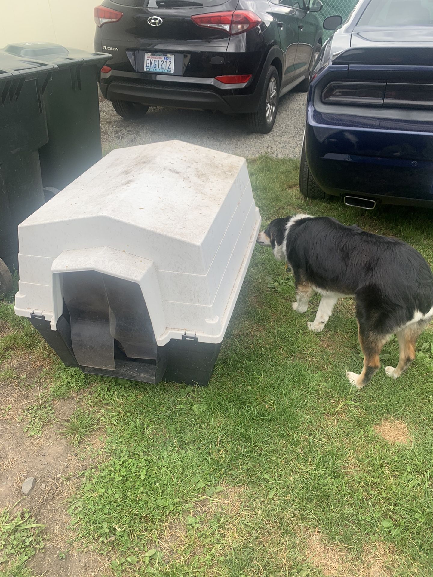 2 End Tables -jewelry drawer and dog house $20 each