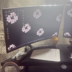 2 monitors 