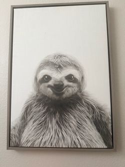 Sloth picture