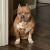 Oscar