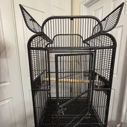 Bird Cage