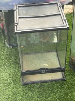 Reptile tank