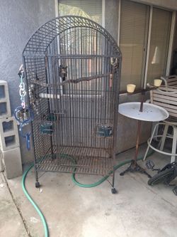 Large birdcage and feeder
