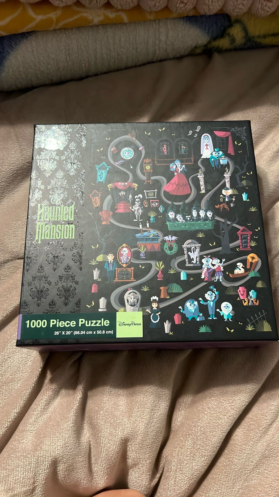 Disney Puzzles