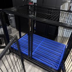 Dog Cage With Divider 