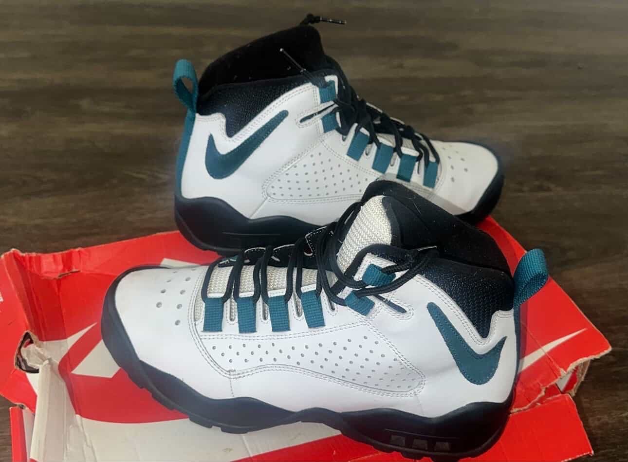 Nike air Darwin size 9 Men