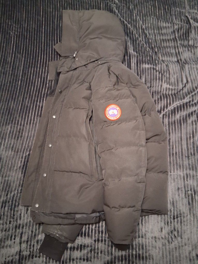 Canada Goose
