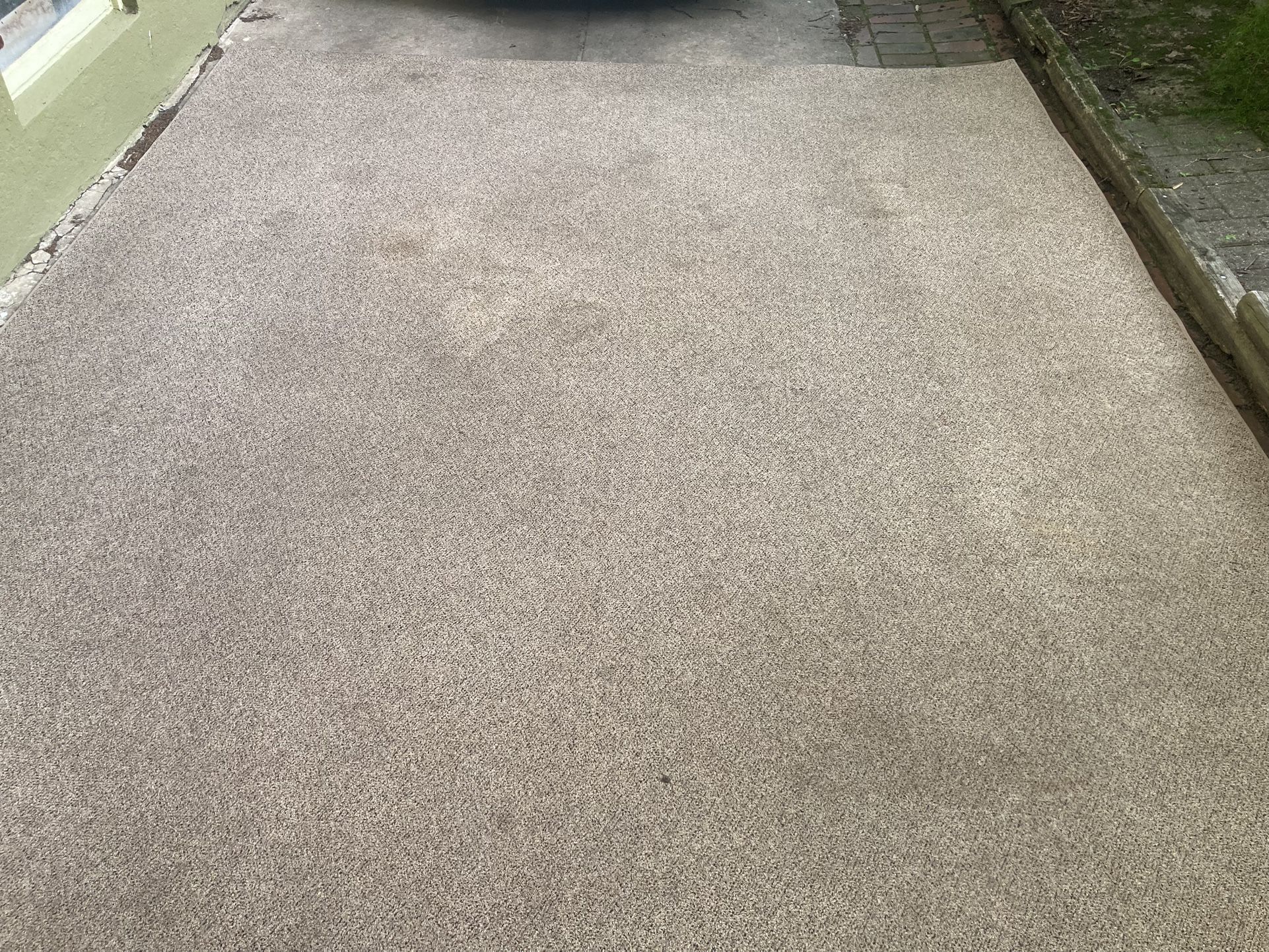 Large (9 ½’x 12’) Area Rug
