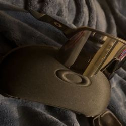 Oakley Sunglasses