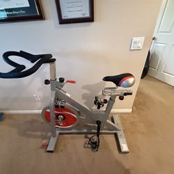 Sunny Exercise Bike