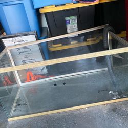 Reptile Tank
